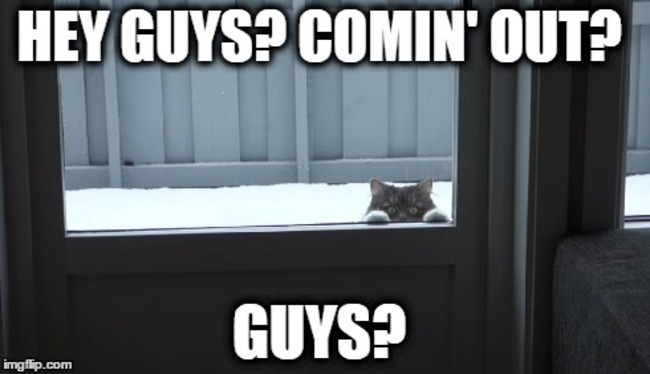 guys