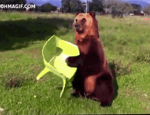 giphy (17)