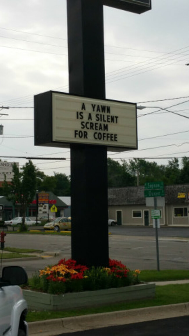 yawn