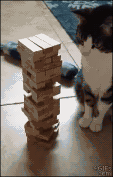 tumblr_nnp5vxw3Na1tlb56zo1_250