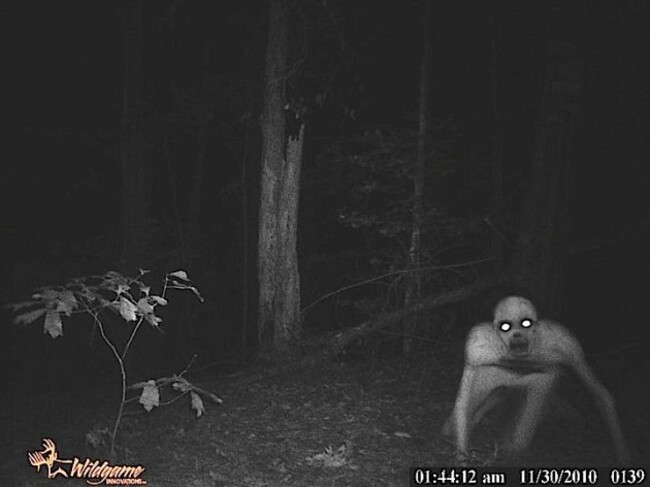 The_Rake