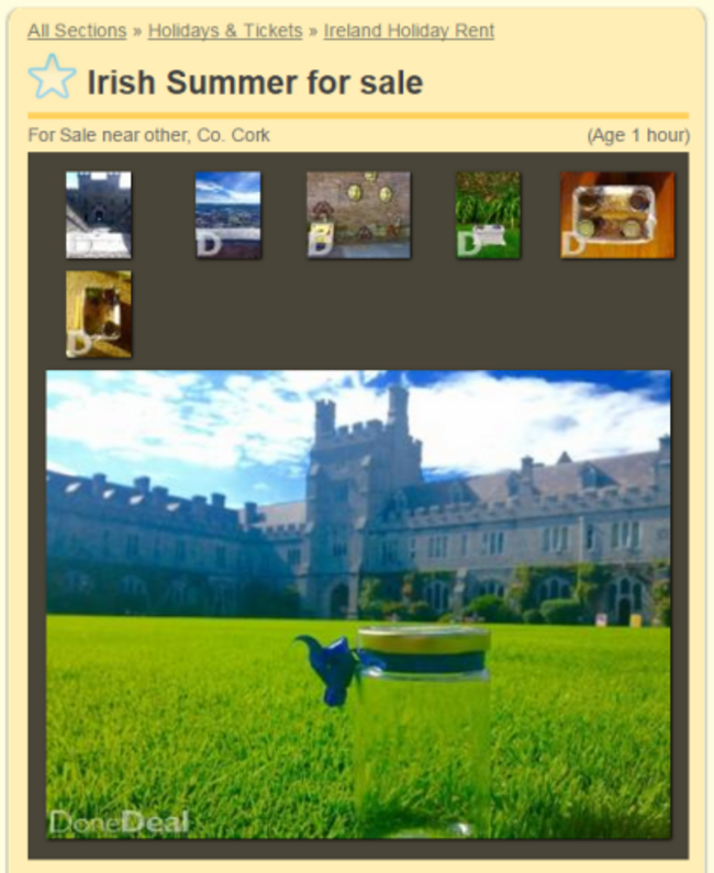 summerforsale