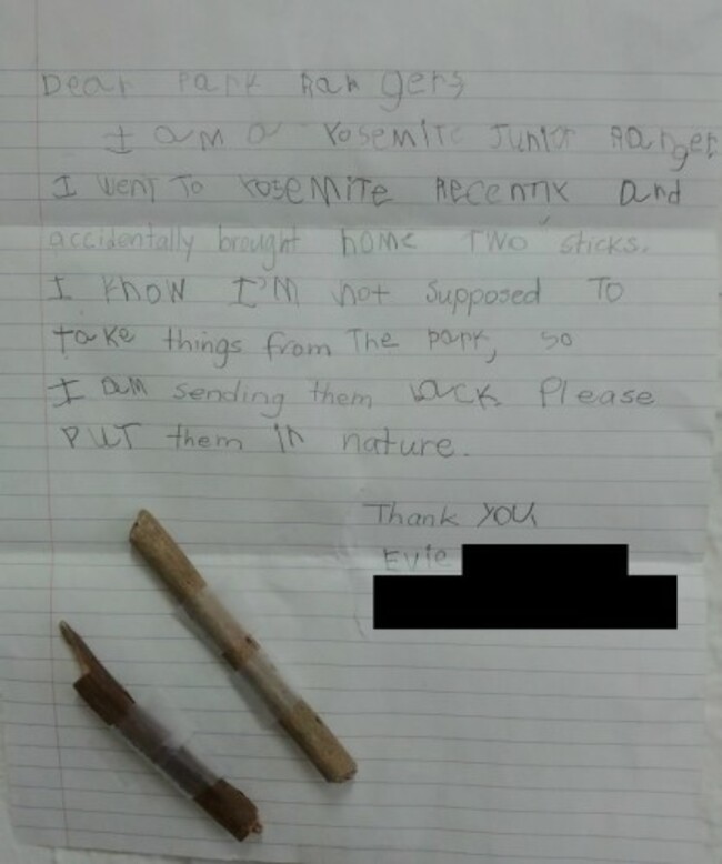 sticks