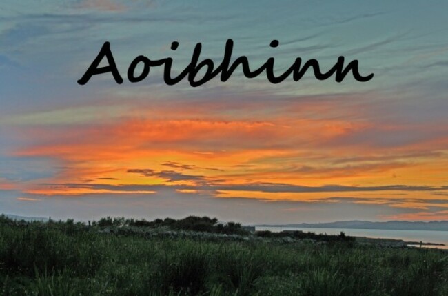aoibh