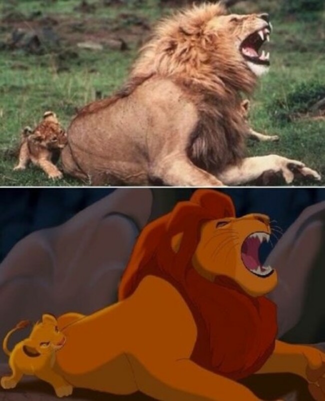 lionking