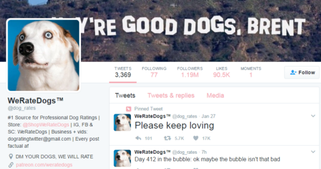 aratedogss