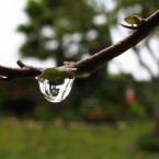Ireland braced itself to be battered by the tail-end of a hurricane but the structural damage and severe flooding forecast failed - thankfully - to largely materialise.<span class=
