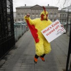 A member of Labour Youth dressed as a chicken makes a political point against Fine Gael Leader Enda Kenny outside Leinster House yesterday. Kenny has been refusing to take part in a three-way leaders' debate with Fianna Fail and Labour, saying that there should be five-way debates to take in the leaders of Sinn Fein and the Greens too.