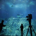 A TV crew stand in front of a aquarium at the opening in Aqua City, the new flagship marine-themed zone of the Hong Kong Ocean Park.