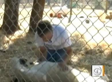 James Jablon in the lions' enclosure