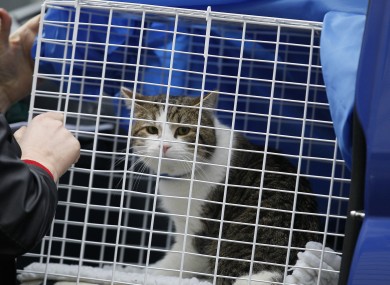 Larry arrives at Downing Street on Tuesday