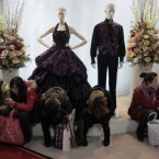 Visitors rest in front of mannequins at the China Wedding Expo 2011 in Shanghai. Pic: AP Photo/Eugene Hoshiko.