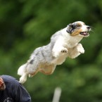 AP Photo/Bela Szandelszky