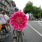 Pic: Stephen Kilkenny 