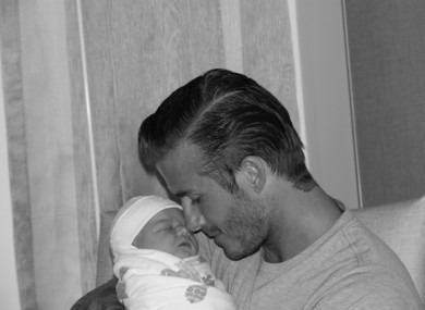 Altogether now: Awh! 