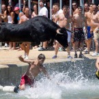 Revellers jump into the sea followed by a bull, during the Bulls to the Sea festival in Denia, Spain (AP Photo/Fernando Bustamante)