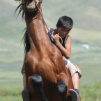 A boy breaks in a horse at Kyrgyzstan's Susamyr valley (AP Photo/ Maxim Shubovich)