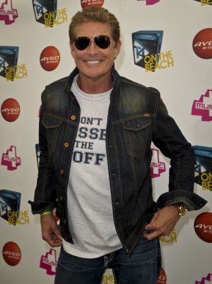 The Hoff