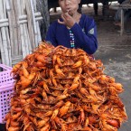 A crab vendor waits for customers in Taungbyone, central Myanmar (AP Photo/Khin Maung Win)