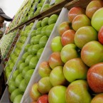 A judge inspects apples at the Illinois State Fair (AP Photo/Seth Perlman)