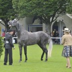 Sasko Lazarov/Photocall Ireland