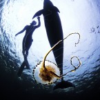 Dancing with dolphins. 

The series has been two years in production, with one full year spent filming in the deep seas and shallow reefs of Ireland. 