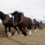 Niall Carson/PA Wire/Press Association Images<span class=