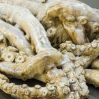 Untitled (Architeuthis) (detail) by David Zink Yi, 2010, on show at Dublin Contemporary 2011.
