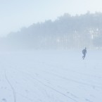 A lone runner about to pass a copse of trees on the snow and mist covered Curragh in County Kildare.
Photo Eamonn Farrell/Photocall Ireland