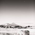 From @ciaran_abaca