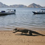 (Image: AP Photo/Dita Alangkara/PA Images)