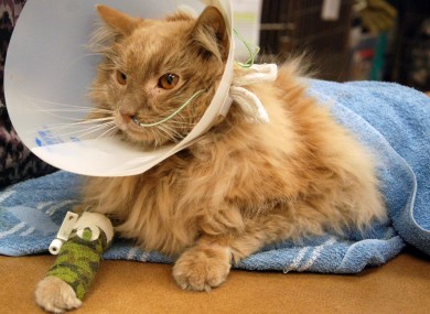 Jack receiving medical treatment after being found at FJK airport