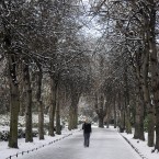 St Stephens Green in Dublin.
Photo: Laura Hutton/Photocall Ireland