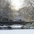St Stephens Green in Dublin.
Photo: Laura Hutton/Photocall Ireland