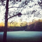 Merrion Square, Dublin this morning