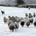 A winter scene from the Glens in Co Antrim. (Paul Faith/PA Wire)