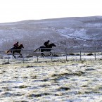 Racehorses on the gallops at Middleham in the north of England. (John Giles/PA Wire)