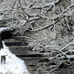 A woman walks her dog through the snow in Allenheads, Hexham, England. (Owen Humphreys/PA Wire)