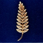 A replica of the gold olive branch, a symbol of peace, Armstrong left on the moon's surface during Apollo 11's mission. (NASA)