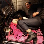 Doberman pinscher 'Fifi' is joined in her cage by co-owner Suzy Lundy of Oregonia, Ohio in the backstage area. We're not sure why. (AP Photo/Craig Ruttle/PA Images)
