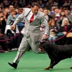 Perry Payson, of Bixby, Oklahoma, joins 'Pilot' for a run. Pilot won best of breed (- Perry did not). (AP Photo/Craig Ruttle)