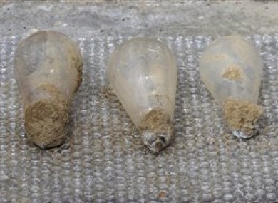 The five lightbulbs discovered next to a time capsule after 100 years.