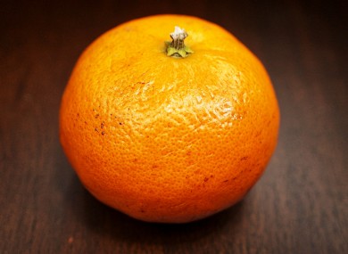 Fruit farms in Alabama are suffering from a lack of illegal immigrants
