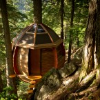 View of treehouse somewhere in Canadian woods. (Image via Joel Allen)
