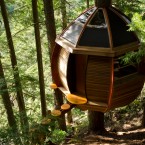 View of treehouse somewhere in Canadian woods. (Image via Joel Allen)