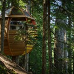 View of treehouse somewhere in Canadian woods. (Image via Joel Allen)