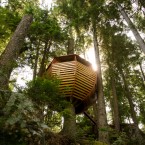 Unique view of treehouse from the ground. (Image via Joel Allen)
