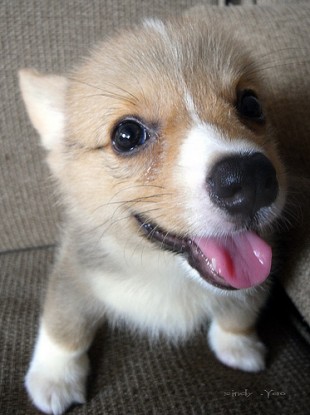 How could you put a price on this face? 