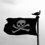 Where? Baltimore, Co Cork When? 29 June to 1 July What's on? Baltimore is transformed into a pirate village for the festival and will host a treasure hunt, pirate ship, fancy dress events, trips to the islands, and games. www.baltimore.ie/festivals  (Image: fdecomite on Flickr/Creative Commons)