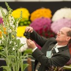 A visitor photographs a Digitalis 'Silver Cub' in the flower show's Great Pavilion. (Dominic Lipinski/PA Wire)